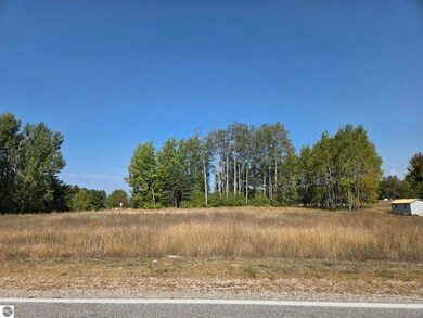 1001 El Camino Grande unit 28-30, Weidman, MI 48893 - photo 4