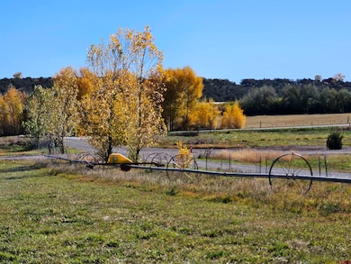 239 Hawks View Dr, Durango, CO 81303 - photo 2