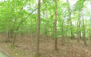 Additional View