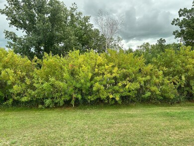 2008 S Main St, Badger, MN 56714 - photo 2