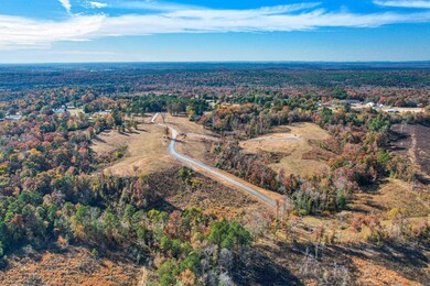 150 N Rolling Oaks Dr, de Queen, AR 71832 - photo 4