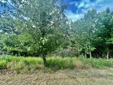 51 Summer, Kimberling City, MO 65686 - photo 2