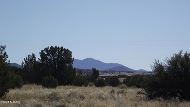 DSCF7175