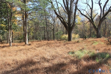 View of wooded area