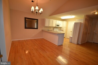 2013 Rudy Serra Dr unit 3C, Sykesville, MD 21784 - photo 6