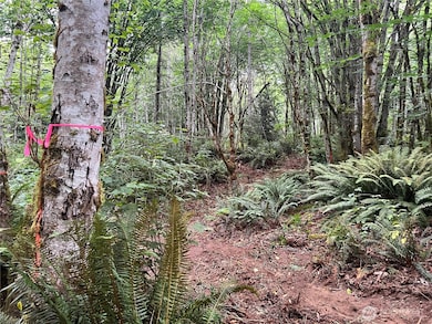 2 XX Scenic Dr NE, Poulsbo, WA 98370 - photo 5