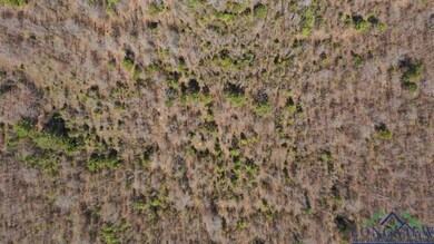 Aerial view of property and surrounding area