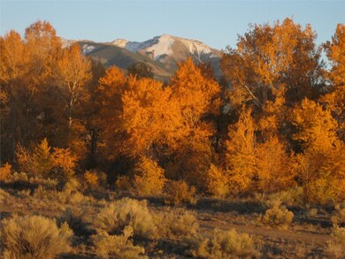 Fall View
