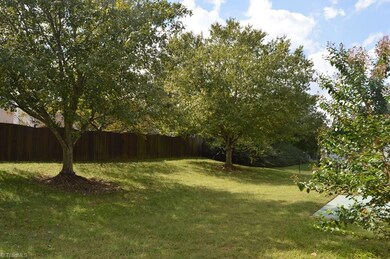 Back yard