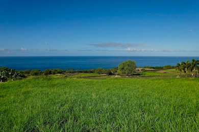 81-6436 Kaelehua Way, Captain Cook, HI 96750 - photo 3