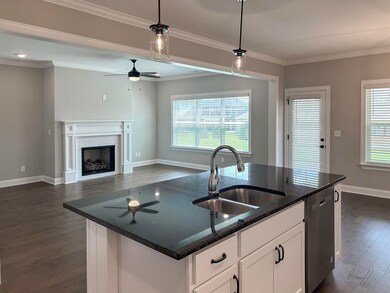 Homesite 64 Interior