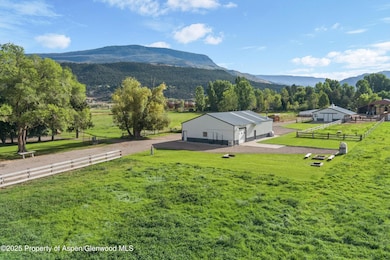 2700 Emma Rd, Basalt, CO 81621 - photo 6