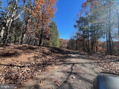 0 Runaway Ct unit WVMO2006972, Berkeley Springs, WV 25411 - photo 5