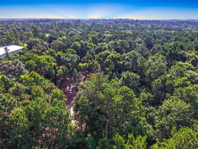 28400 Sweetgum Rd, Magnolia, TX 77354 - photo 3