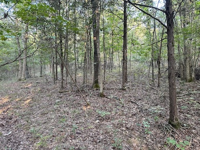 7 acres in Walnut Shade, MO