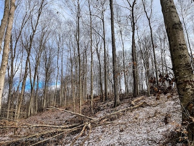 TBD Starr Rd, Jefferson Township, IN 47108 - photo 4