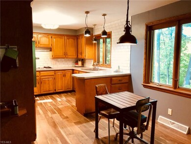 230 Wetmore Dr, Struthers, OH 44471 - photo 7