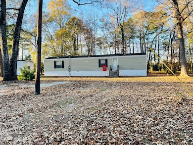 125 Old Railroad Trail, Pollocksville, NC 28573 - photo 3