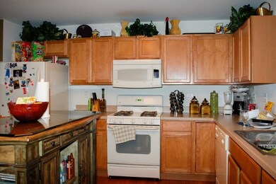 1034 Reserve Dr, Elgin, IL 60124 - photo 2