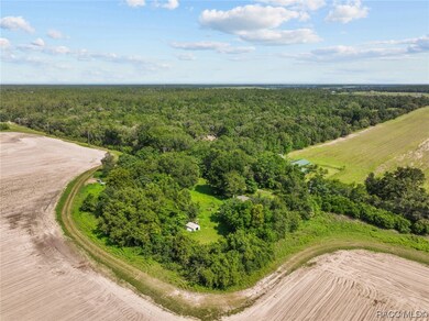 21500 SW 33rd St, Dunnellon, FL 34431 - photo 6