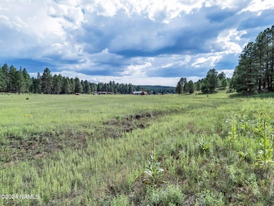 5256 Stonehouse Dr unit 12, Flagstaff, AZ 86001 - photo 5