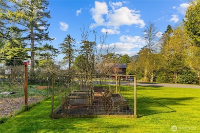 Raised bed garden on south side of house.