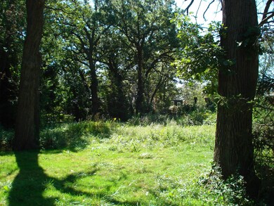 9513-17 Forest Place, Des Plaines, IL 60016 - photo 5