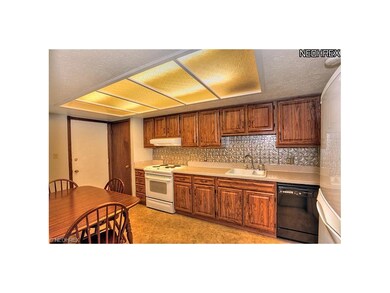 Light and bright with plenty of cupboard and count