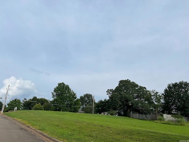 0 Elm St, Waldron, AR 72958 - photo 4