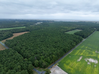 0 Whites Neck Rd unit 140 65176, Parksley, VA 23421 - photo 3