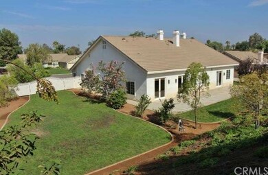 Large backyard, with new grass, fruit trees, groun