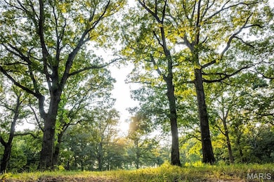 0 Highway D - Tract 9 (24 7+ - Acres) unit MIS25078045, Eolia, MO 63344 - photo 6