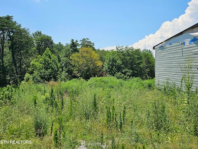 400 Shaddon Rd, Tellico Plains, TN 37385 - photo 3