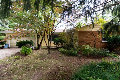 N Main Berrien Springs-2