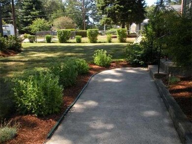 16 Haynes St, Walpole, MA 02081 - photo 6