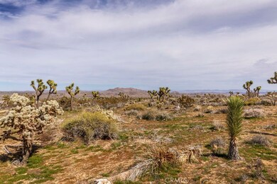 7637 La Contenta Rd, Joshua Tree, CA 92252 - photo 6