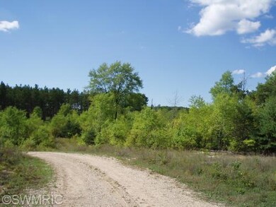 0 Harlan Rd unit 13009110, Copemish, MI 49625 - photo 4