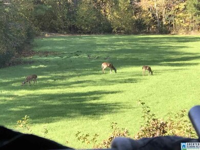 10 Highway 69 unit Parcel 5, Chelsea, AL 35043 - photo 6