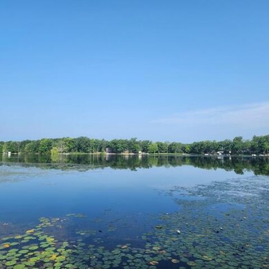 11973 N Lake St, Bitely, MI 49309 - photo 2