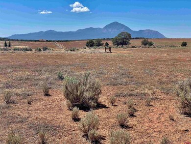 Tract 5 Road K 3, Cortez, CO 81321 - photo 4