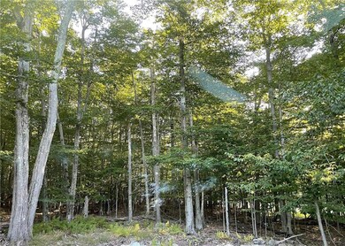 1155 Country Place Dr, Tobyhanna, PA 18466 - photo 5