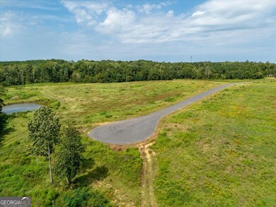 0 Cobbham Rd unit 10601586, Thomson, GA 30824 - photo 7