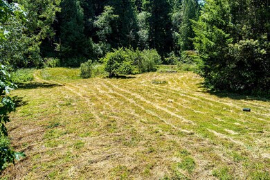 15-1540 Warren Creek-115