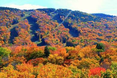 39.5 Crooked Mountain Rd unit 118-39.5, Lincoln, NH 03251 - photo 7