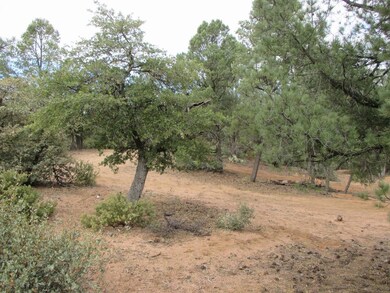 1404 E Graham Ranch Trail, Payson, AZ 85541 - photo 2