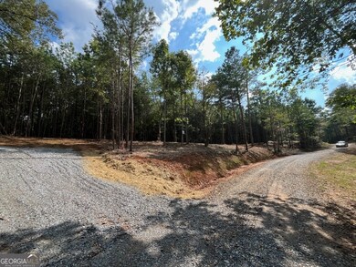 0 Stonecrest Rd, Talking Rock, GA 30175 - photo 4