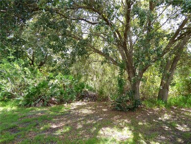 Enjoy the FL plants and birds.