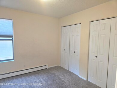 1527 Blake Ave unit 211, Glenwood Springs, CO 81601 - photo 5