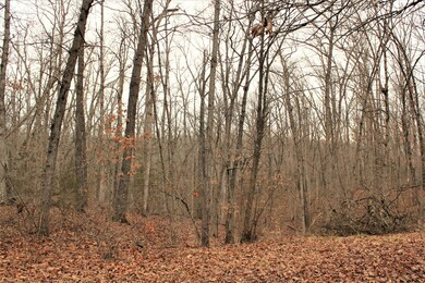 IMG_0980