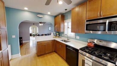 1139 Gunderson Ave, Oak Park, IL 60304 - photo 4